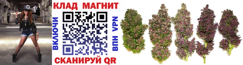 Магазин наркотиков Козельск ГАШИШ  Псилоцибиновые грибы  Меф мяу мяу  Канабис  Кокаин  А ПВП 