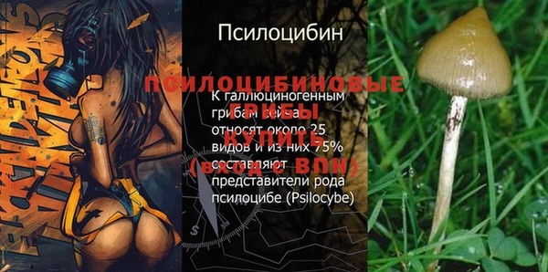 СК Надым