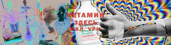 СК Надым