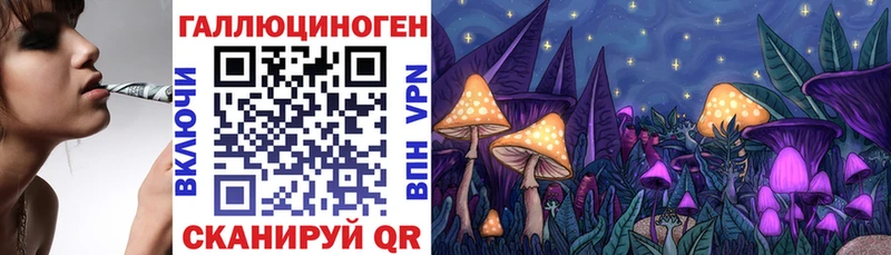 Псилоцибиновые грибы GOLDEN TEACHER  закладки  shop какой сайт  Козельск 
